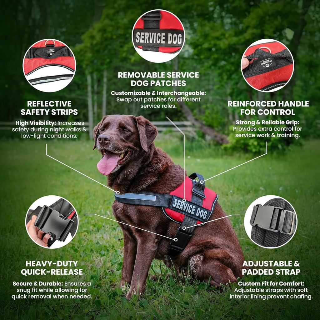 Durable Adjustable Service Dog in Training Vest with Reflective Stra