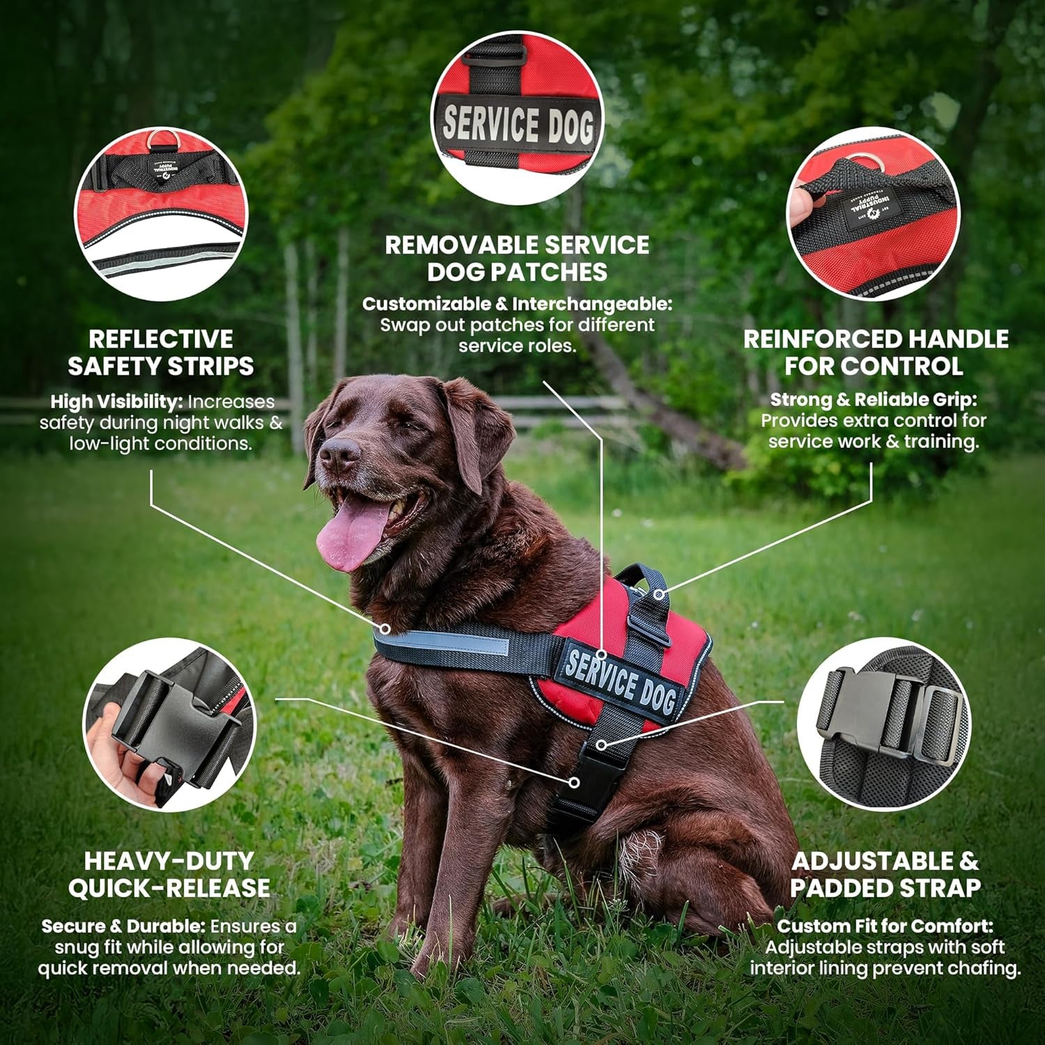 Durable Adjustable Service Dog in Training Vest with Reflective Stra