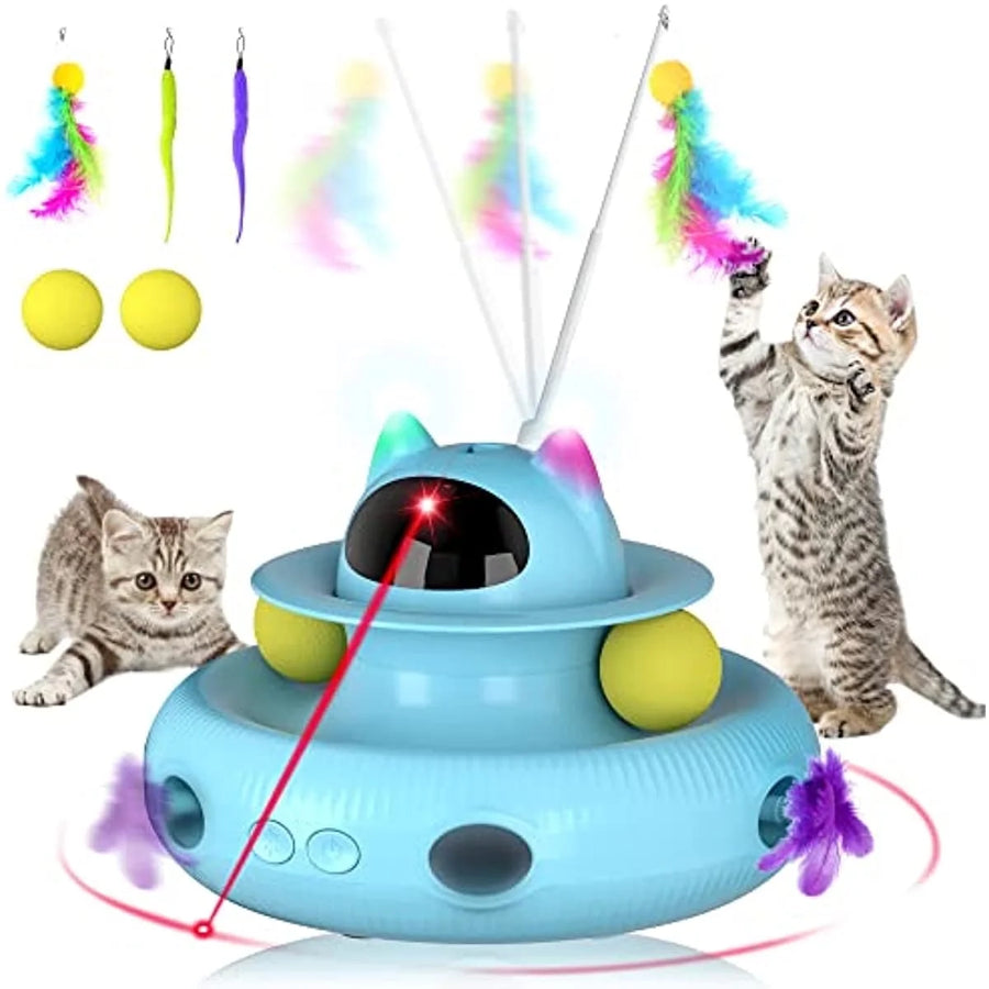 Cats