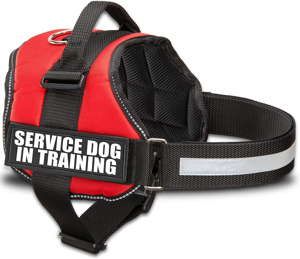 Durable Adjustable Service Dog in Training Vest with Reflective Stra