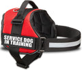 Durable Adjustable Service Dog in Training Vest with Reflective Stra