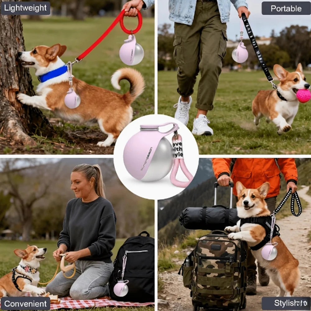 2-In-1 Portable Dog Water Bottle 285ML Stainless Steel&Silicon Leak-Proof Compact Dog outside Travel Water Bottle for Small Dog